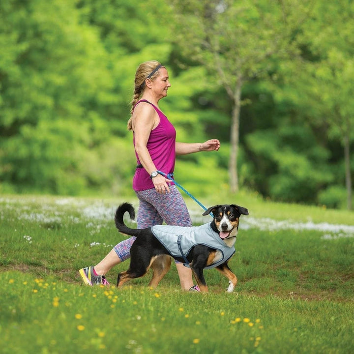 Kurgo Hundekühlweste - Sommer-Kühljacke - Hundemantel kompatibel mit Geschirr - Reflektierende Akzen