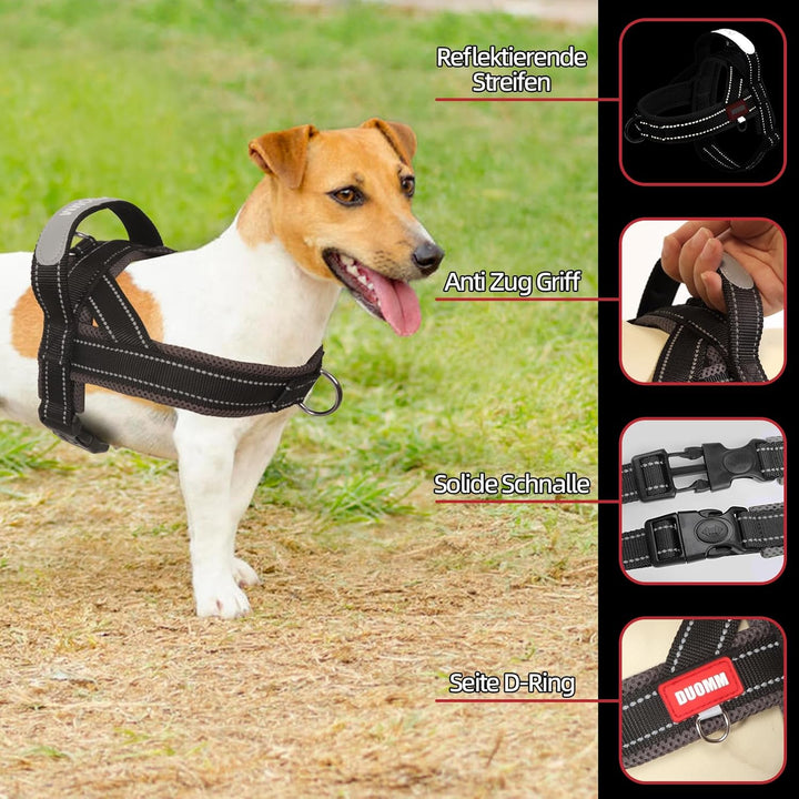 Hundegeschirr mit Leine für Mittelgrosse Kleine Hunde Welpen, Bunt Farbblock Geschirr, Mesh Gepolste