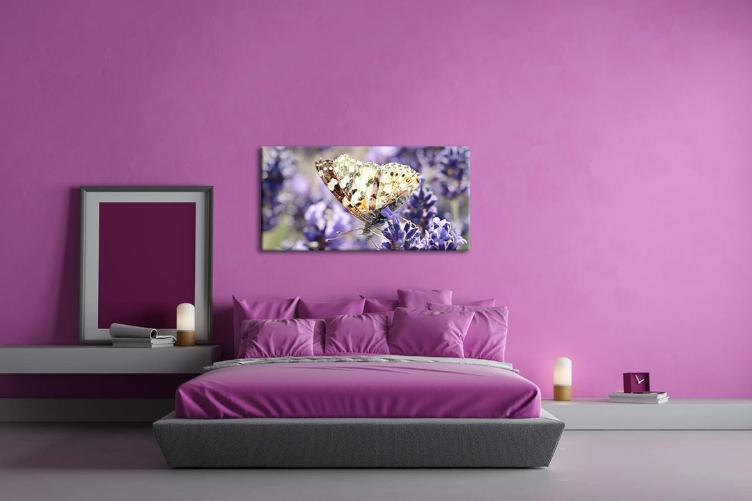 süsser Schmetterling Panorama 80x40 cm als Leinwandbild, Motiv fertig gerahmt auf Echtholzrahmen, Ho