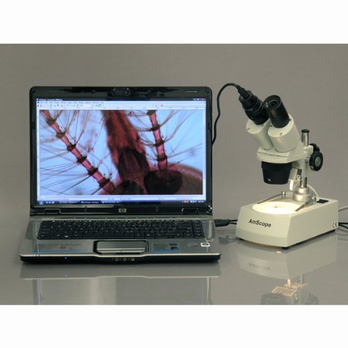 AmScope SE306R-PZ Kompaktes Stereomikroskop mit Mehreren Objektiven und abgewinkeltem Kopf, Metallsä
