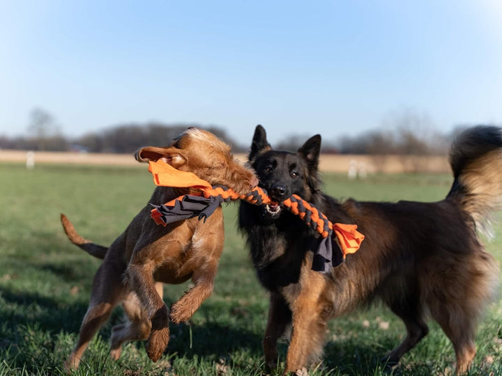 TrendPet Zergel, Zerrspielzeug, Spielzeug für Hunde (5,0x50cm), 5,0x50cm