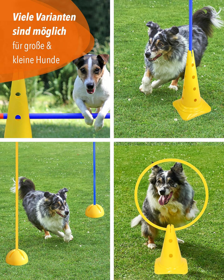 Agility Set für kleine Hunde & Welpen – Trainingsset mit Reifen, Hürden, X-Fuss & Tasche – ideal für
