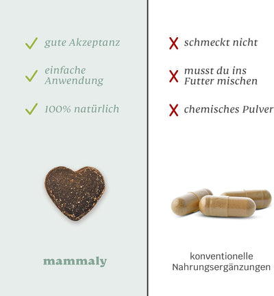mammaly Fresh Smile Hunde Zahnpflege Snack, Zahnpflege Hund, gegen Hund Mundgeruch, Fressnapf Innova