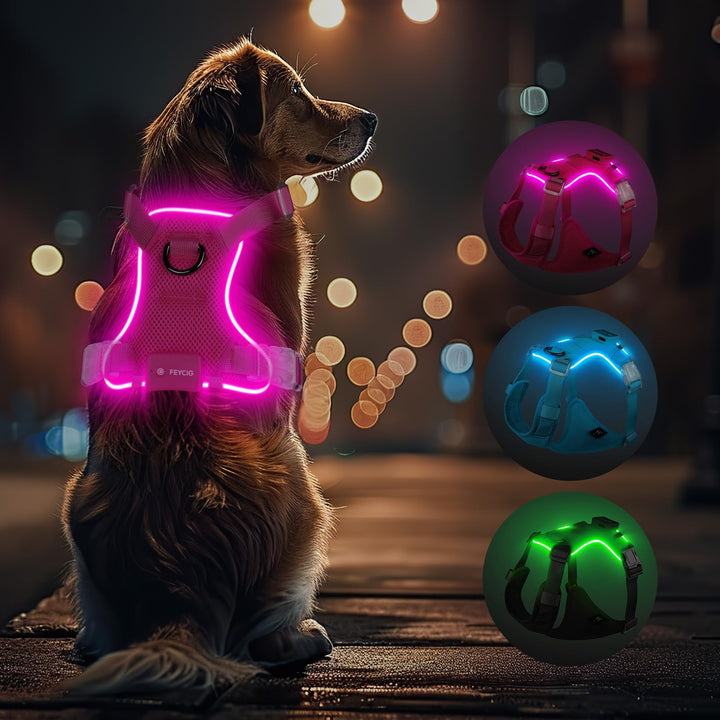 Light Up Dog Hundegeschirr Leuchtend LED Aufladbar - Leuchtgeschirr Leuchtend für Klein Mittelgrosse