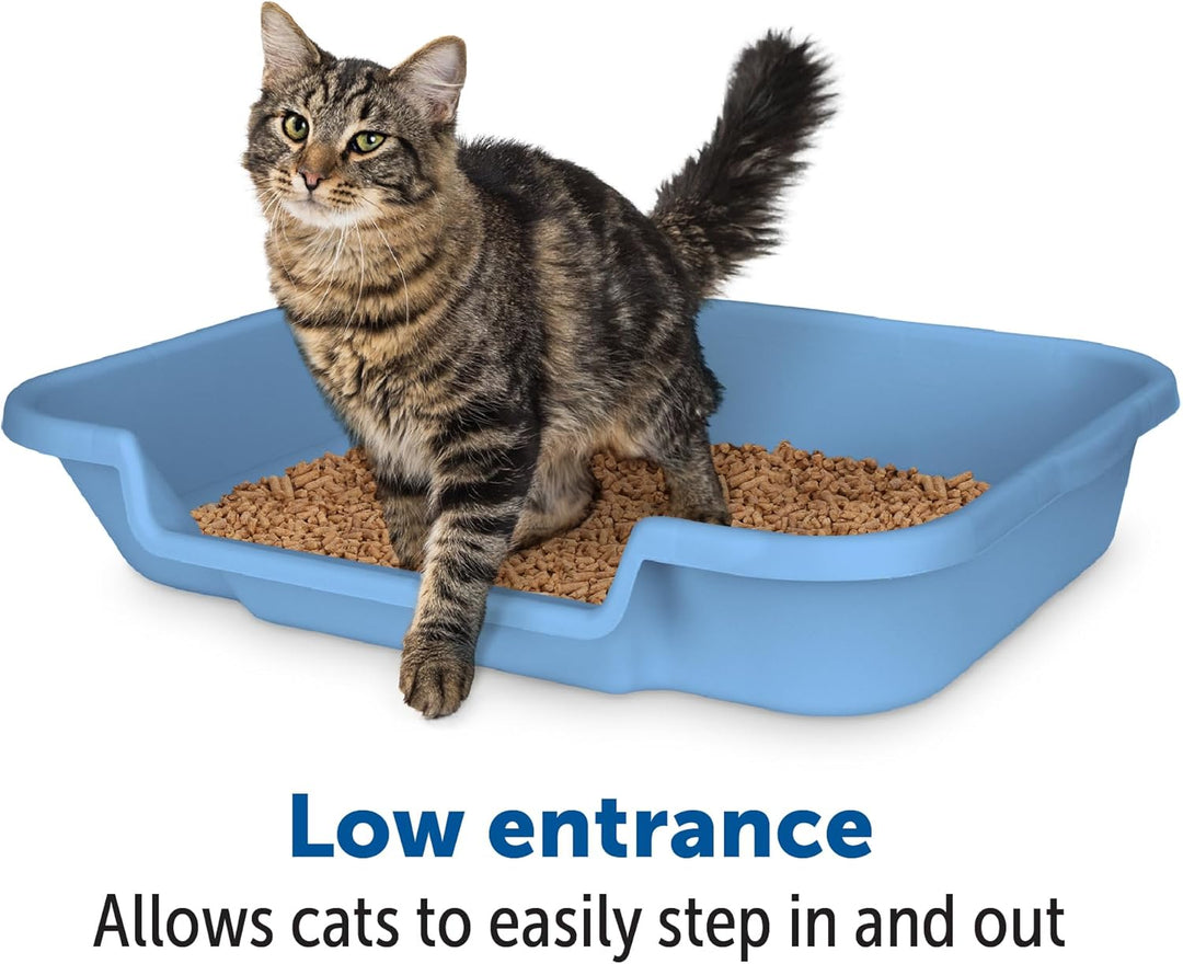 Kitty Go Here Katzentoilette Senior, 61 x 50,8 x 12,7 cm, Blau, Blau Large (1 Pack)
