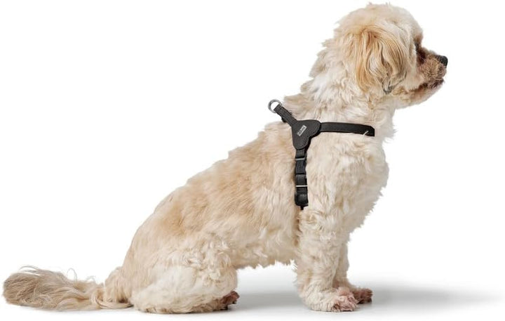 Hunter Hundegeschirr SOHO MINI, Farbe: schwarz, Rindsleder, weich & geschmeidig, fellschonend, leich