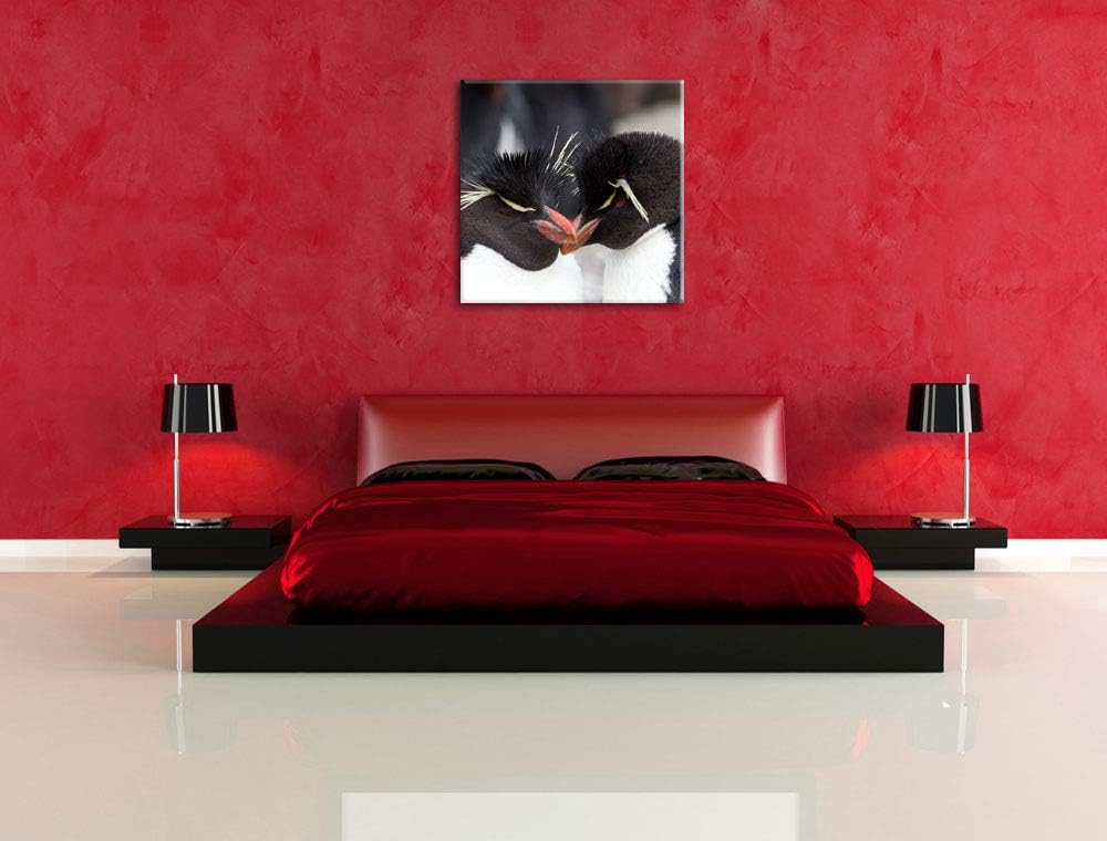 Pinguin Kuss, Format: 70x70 auf Leinwand, XXL riesige Bilder fertig gerahmt mit Keilrahmen, Kunstdru