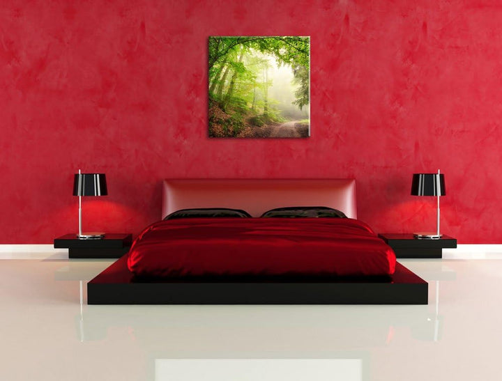 Sonnenstrahlen Waldweg, Format: 70x70 auf Leinwand, XXL riesige Bilder fertig gerahmt mit Keilrahmen