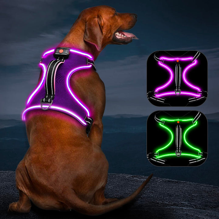 Hundegeschirr Leuchtend Wiederaufladbares Leuchtgeschirr für Hunde Led Beleuchtetes Hundegeschirr fü