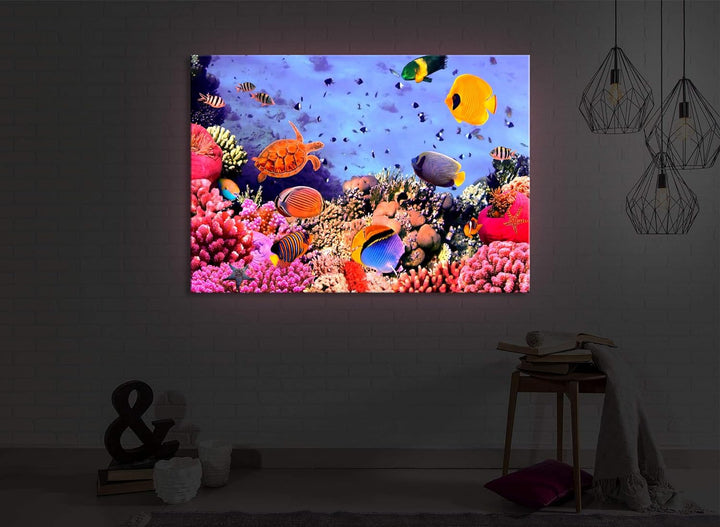 lightbox multicolor | Bilder mit LED Beleuchtung | Bunte Fische über Korallenriff | 100x70 cm | Fron