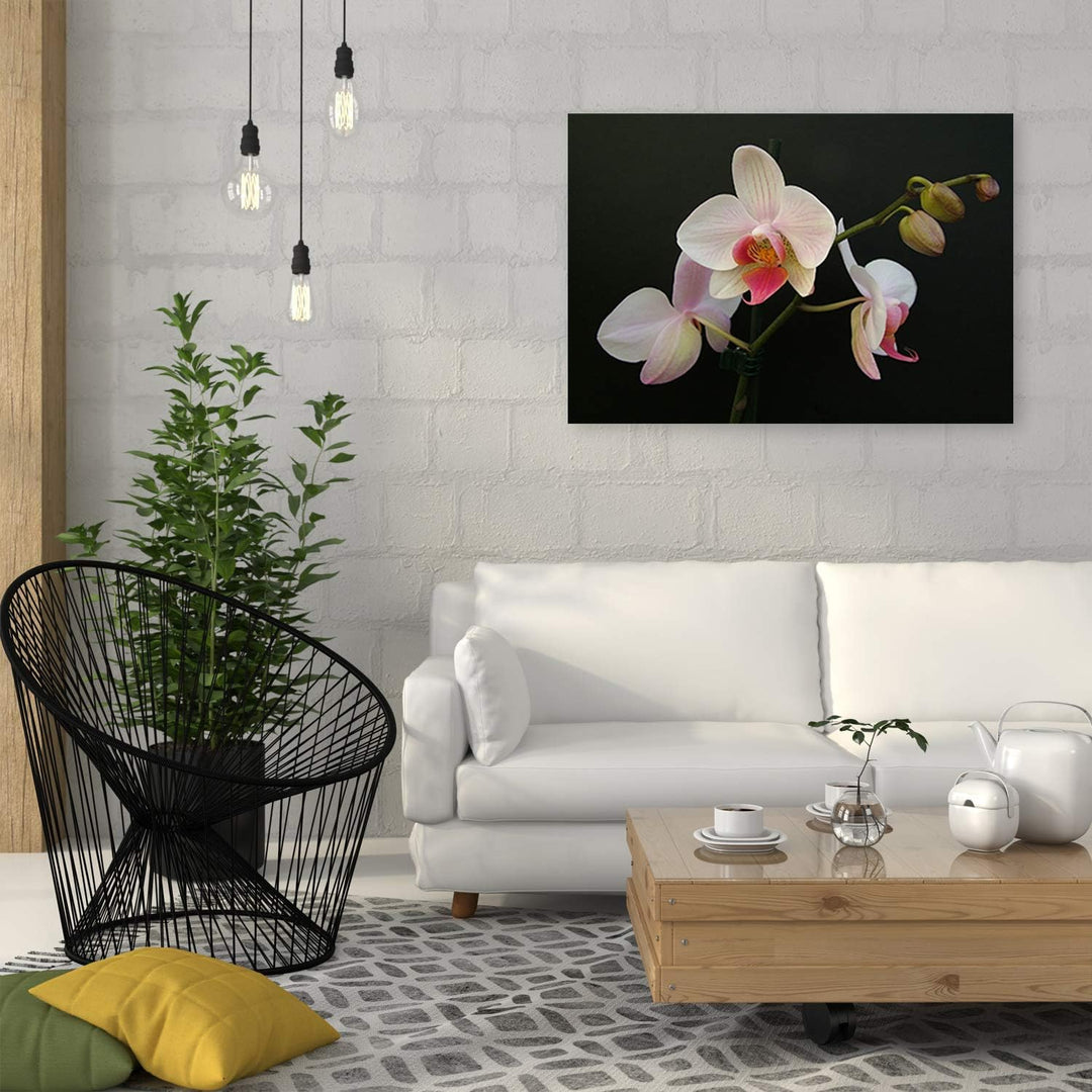 Feeby Wandbild Blumen Druckbild Leinwandbild Orchidee Weiss 100x70 cm Leinwandbild 100x70 cm Weiss_c