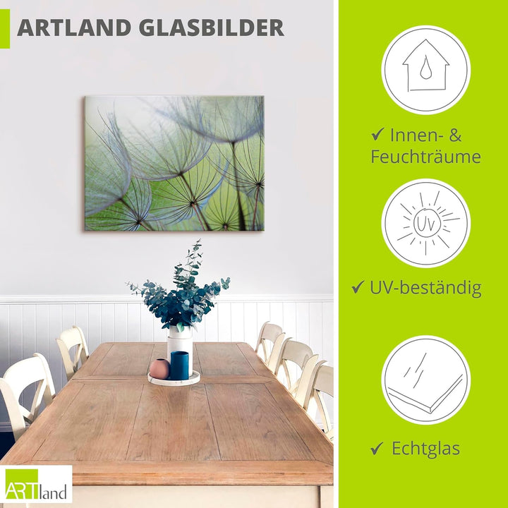 ARTland Glasbilder Wandbild Glas Bild einteilig 60 x 45 cm Botanik Blumen Pusteblume Foto Grün D1KE