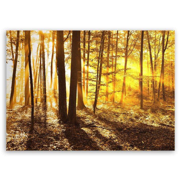 ge Bildet Bild auf Leinwand | Landschaftsbilder - beautiful morning in the forest G in 100x70 cm als