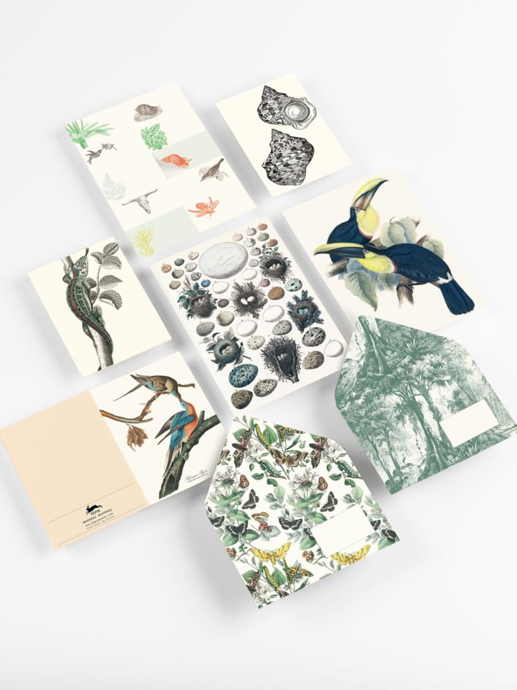 Natural History: Korrespondenz Set / Briefpapier Set / Set de Correspondance (Correspondence Set), G