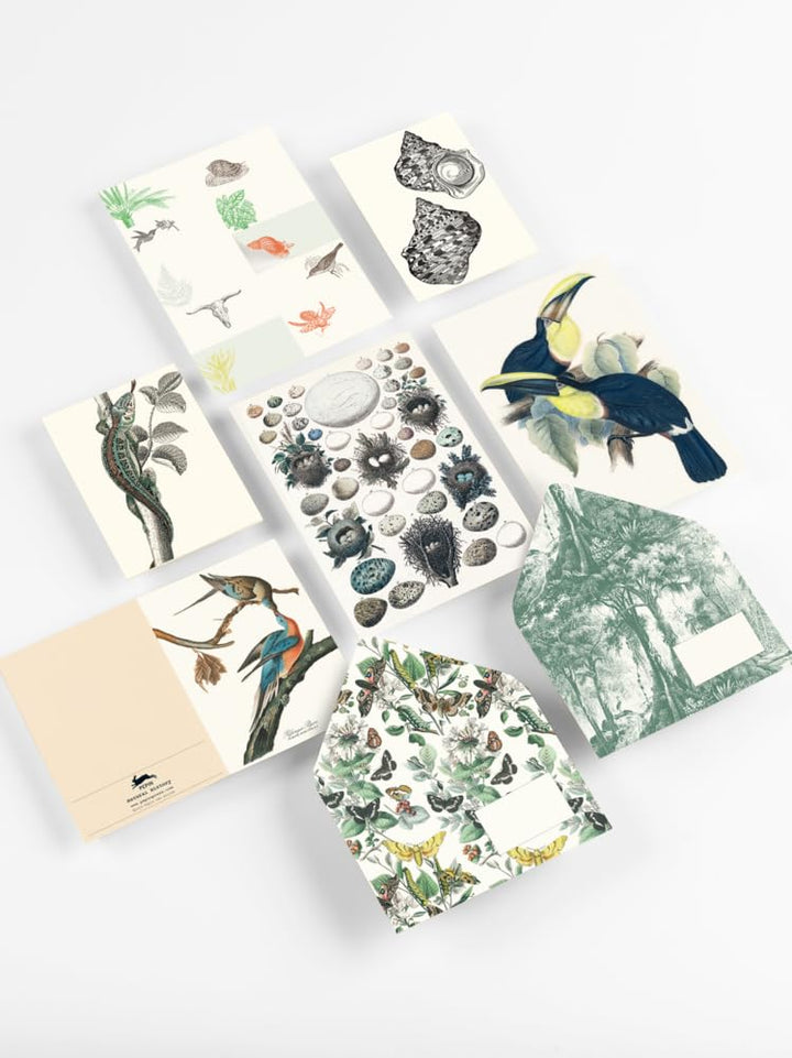 Natural History: Korrespondenz Set / Briefpapier Set / Set de Correspondance (Correspondence Set), G