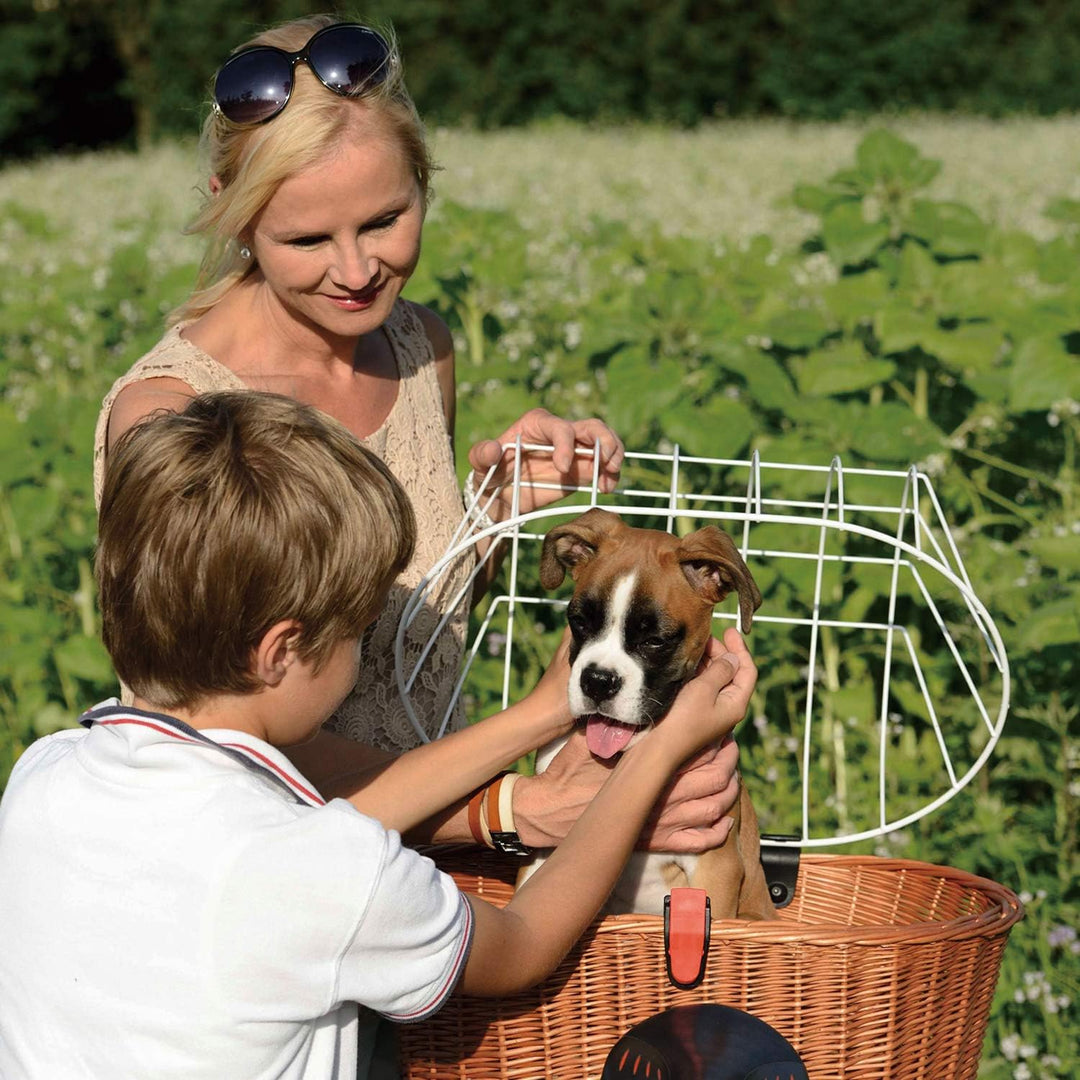 Rixen und Kaul KlickFix Doggy Basket Plus - KorbKlip - Fahrradkorb für Hunde Braun, Braun