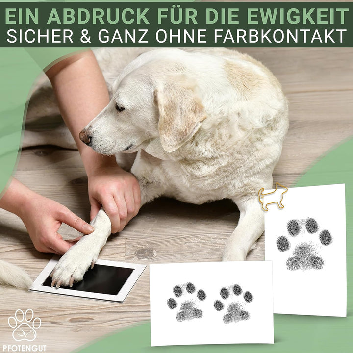 PFOTENGUT® XXL Pfotenabdruck Set inkl. 3 Stempelkissen und 6 Druckkarten - Hochwertiges Pfotenabdruc