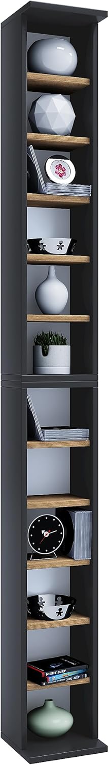 VCM Holz CD DVD Stand Aufbewahrung Standregal Bücherregal Deko Regal Bigol Anthrazit/Honig-Eiche Ant
