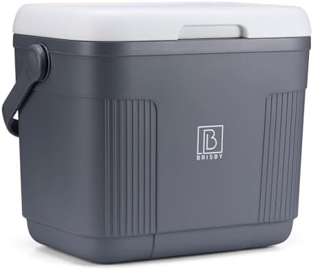 Brisby 22L Kühlbox – Passiv & Ohne Strom – mit 4 Grossen Kühlakkus à 450ml – Bis zu 40 Std. Kühl / 1