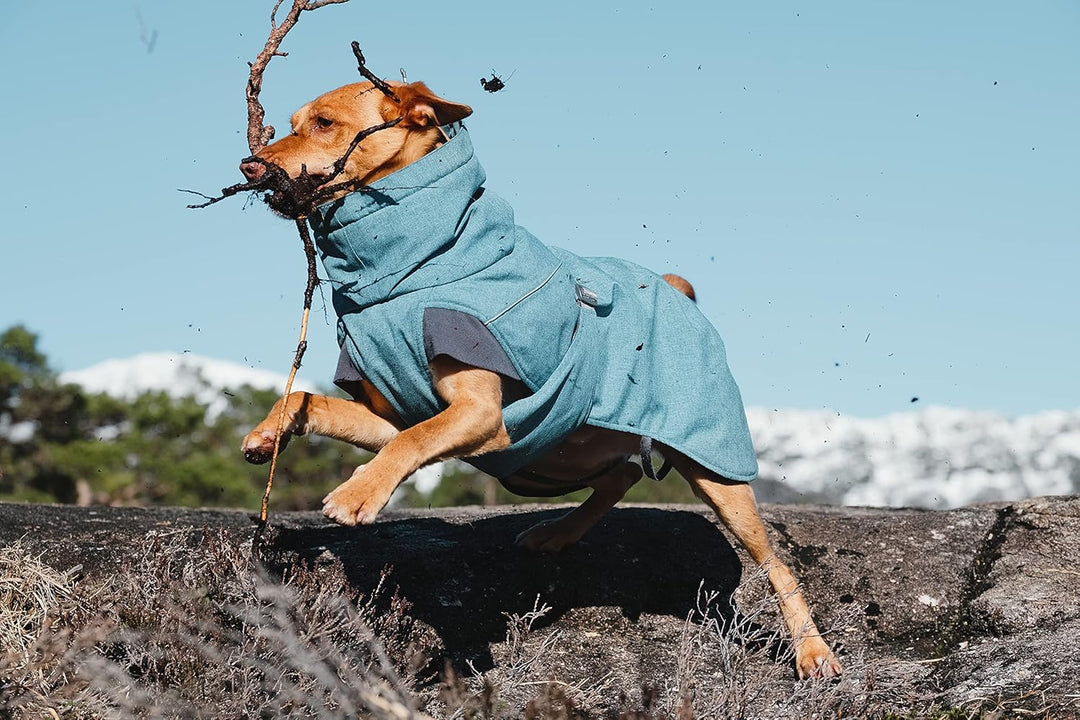 Hurtta Expedition Parka Wintermantel Hundemantel Blackberry Schwarz Brombeerfarben 45, Brombeerfarbe