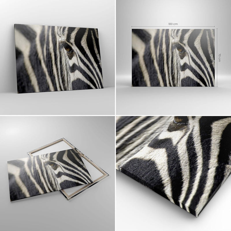 Bilder auf Leinwand 100x70cm Leinwandbild Zebra Streifen Tierwelt Safari Gross Wanddeko Bild Schlafz