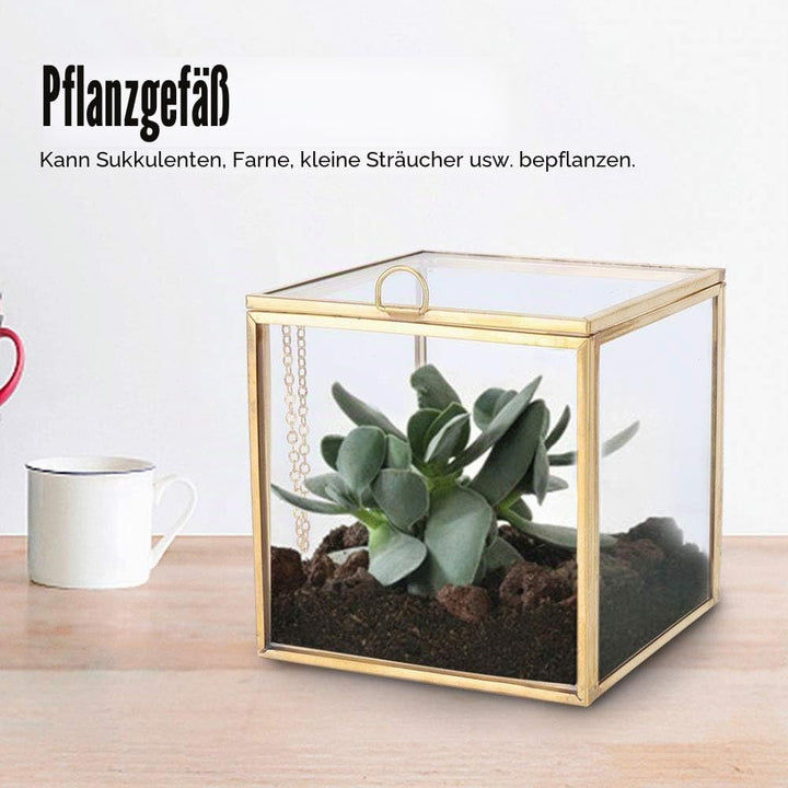 Mini Glas Geometrische Terrarium ContainerModerne Tischplatte Pflanzer Fensterbank Dekor Regale DIY