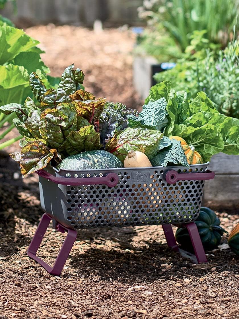 NOOR Garten-Korb Kajo 15L (48 x 29 x 20cm) I Farbe: Türkis I Stapelbare Gartenkörbe für Obst und Gem