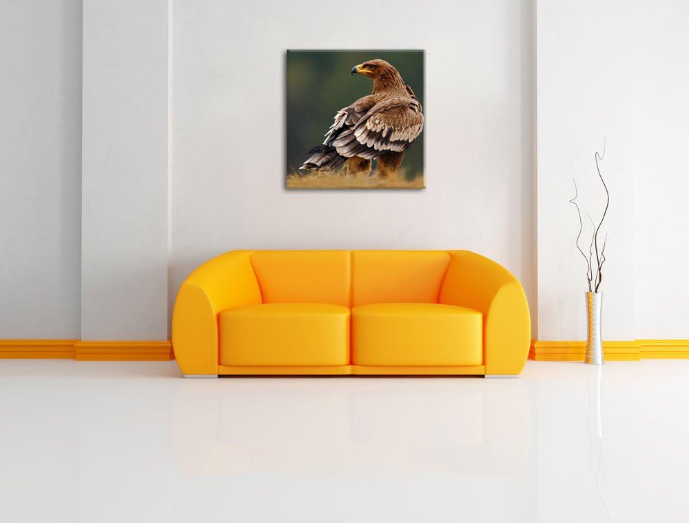 Pixxprint Einsamer Falke mit braunem Gefieder, Format: 70x70 auf Leinwand, 70x70