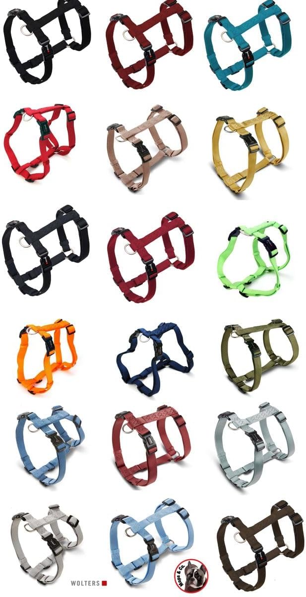 Wolters Geschirr Professional für Mops &amp; Co., Grösse:L 50-80 cm x 20 mm, Farbe:Champagner L 50 - 80