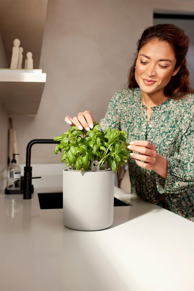elho Bouncy Basil 16 Blumentopf - Basilikum Topf mit Aussentopf - 100% recyceltes Plastik - Ø 16.5 x