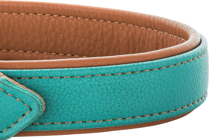 Schnüffelfreunde Lederhalsband Hund - Fun Line (XXL - 55-65cm, Türkis-Braun) XXL Türkis-Braun, XXL T