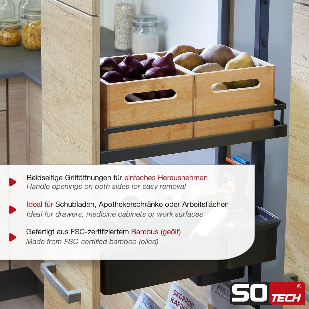SOTECH ORGA-BOX Organisations-Container Bambus geölt 200 x 225 x 150 mm für Apothekerschränke und Sc