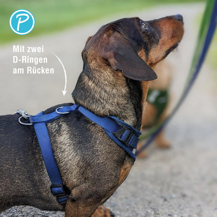Petlando Hundegeschirr Mesh Vest, leichtes Brustgeschirr aus weichem Mesh & Nylon, stufenlos verstel
