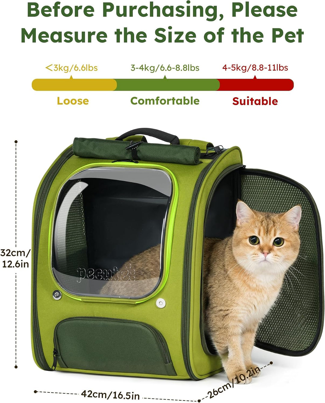 pecute Katzenrucksack Bubble Haustier Rucksack mit Netzfenster, Tragbare und Faltbare Katzentasche,
