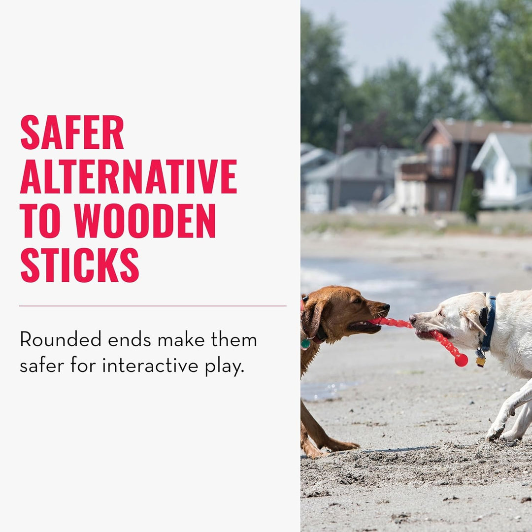 KONG – SafeStix – Robustes Apportierspielzeug aus Flexiblem, Sicherem Material – Für Kleine Hunde Sm