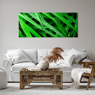 Wandbilder Dekoration Wohnzimmer Natur Gras Wasser Tropfen Panorama Bilder auf Leinwand 120x50cm Lei