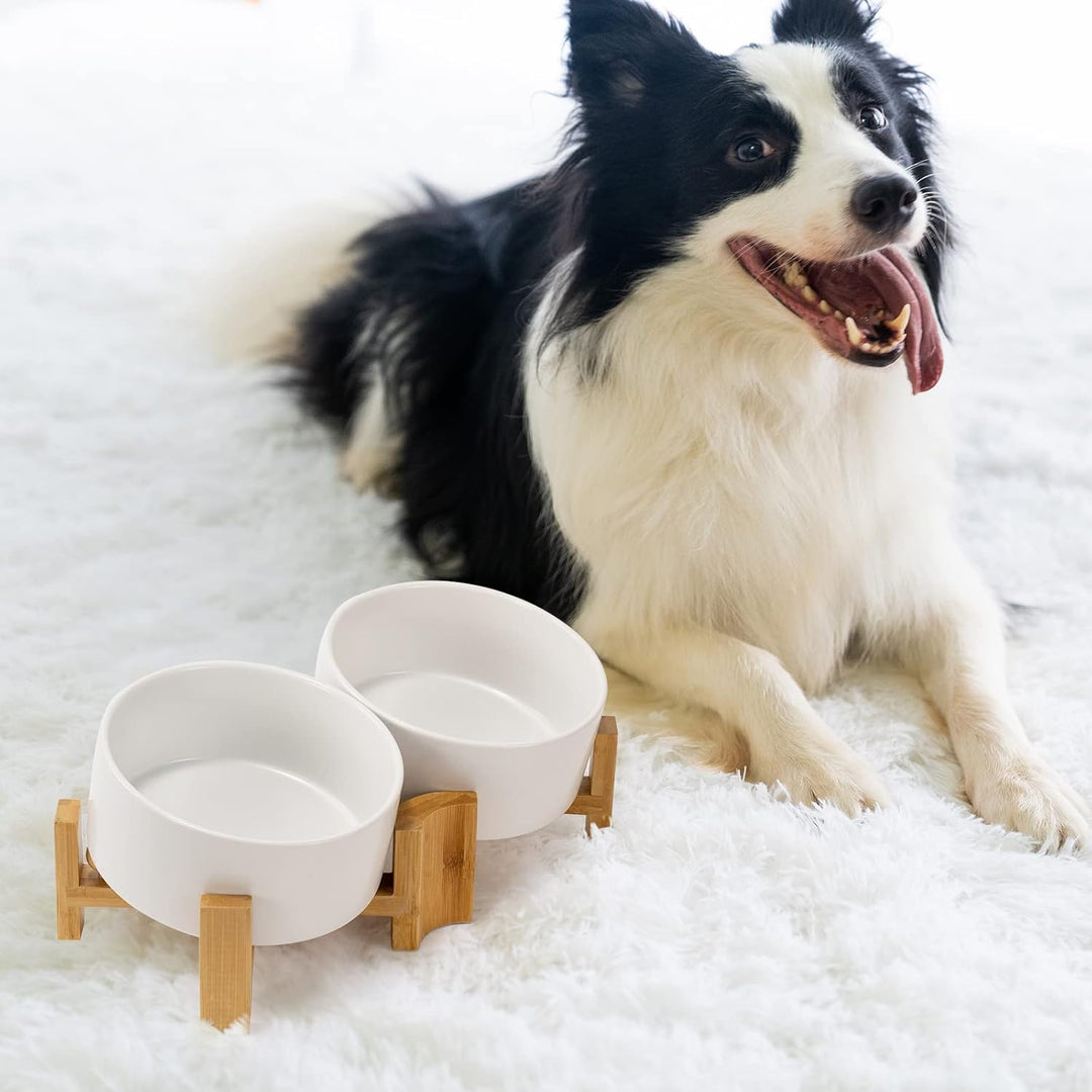 SPUNKYJUNKY Kippbarer Hundenapf Keramik Doppel Hund Futternapf mit Bambus Ständer 0° und 15° Neigung