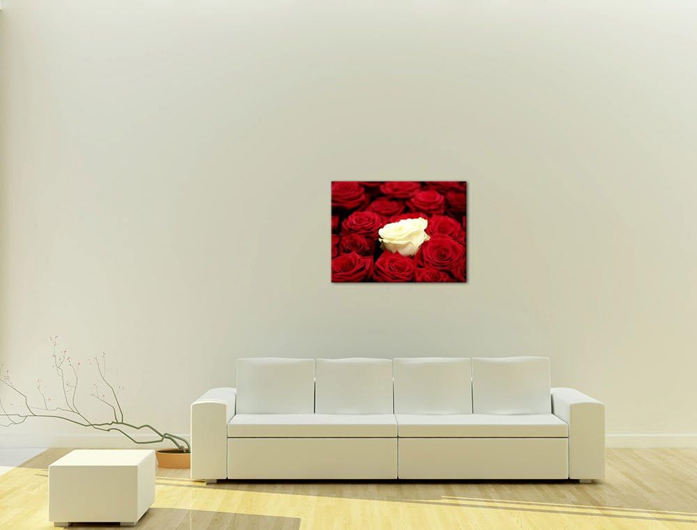 Bilderdepot24 Bild auf Leinwand | Weisse Rose in 60x50 cm als Wandbild | Wand-deko Dekoration Wohnun