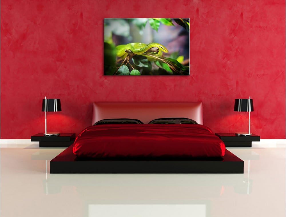 Raue grüne Schlange, Format: 100x70 auf Leinwand, XXL riesige Bilder fertig gerahmt mit Keilrahmen,