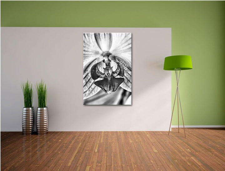 Pixxprint Monocrome, schöne Orchidee, Format: 100x70 auf Leinwand, 100x70