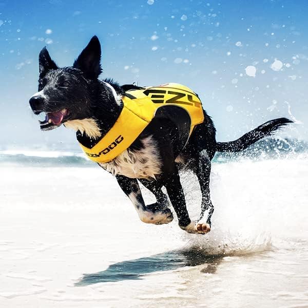 EZYDOG X2 Boost Schwimmweste, Bootfahren, Hundefreundlich, Paddelboard, überlegener Auftrieb, Rettun