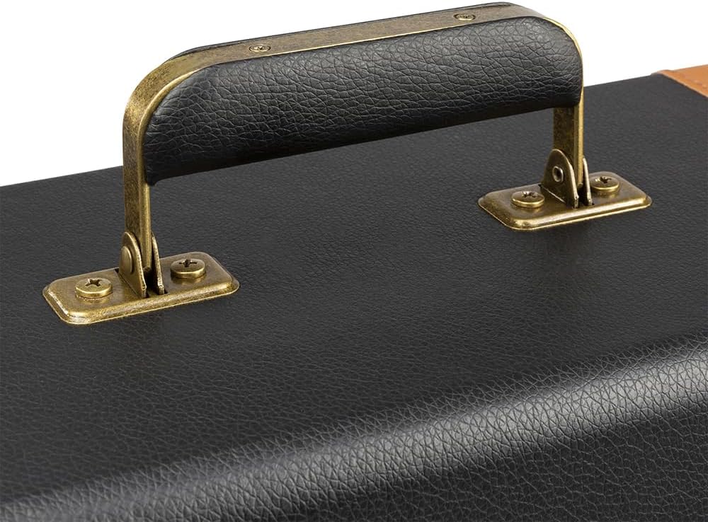 Audizio RC37 - Robuster Plattenkoffer für Schallplatten Aufbewahrung, Für 30+ LPs, Vinyl Case mit Fl