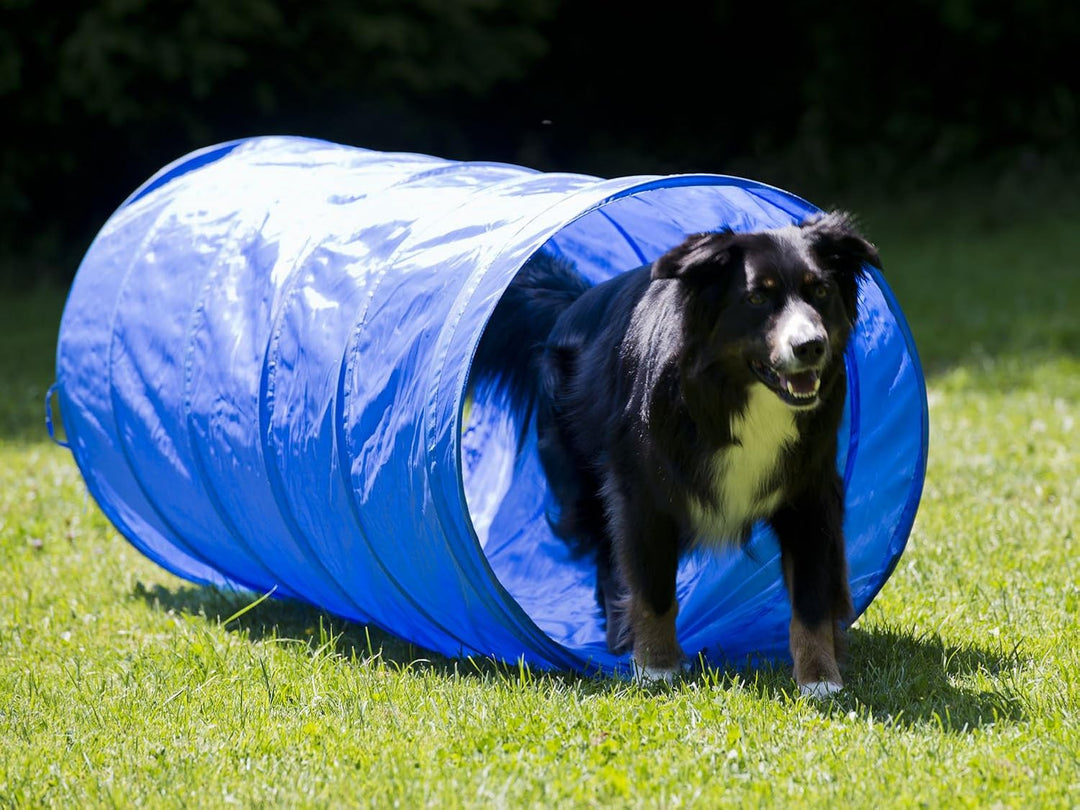 Agility Tunnel XS für Hunde, 35 x 100 cm, blau – Trainings-Tunnel für Welpen &amp; sehr kleine Hunde, pl