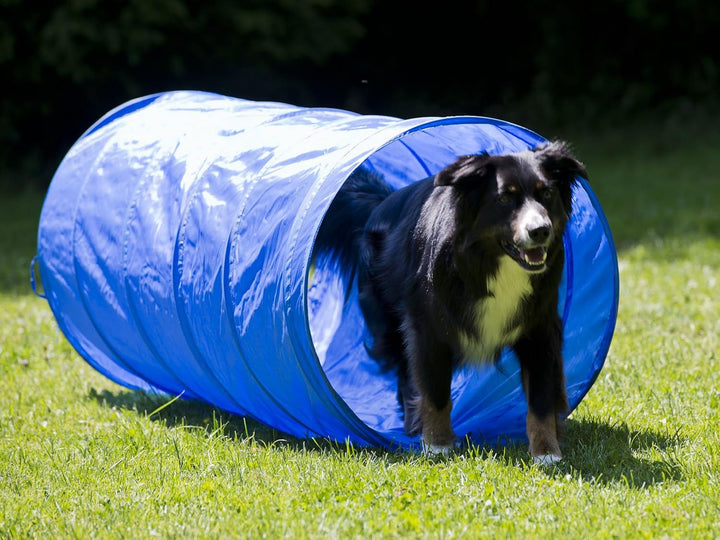 Agility Tunnel XS für Hunde, 35 x 100 cm, blau – Trainings-Tunnel für Welpen &amp; sehr kleine Hunde, pl