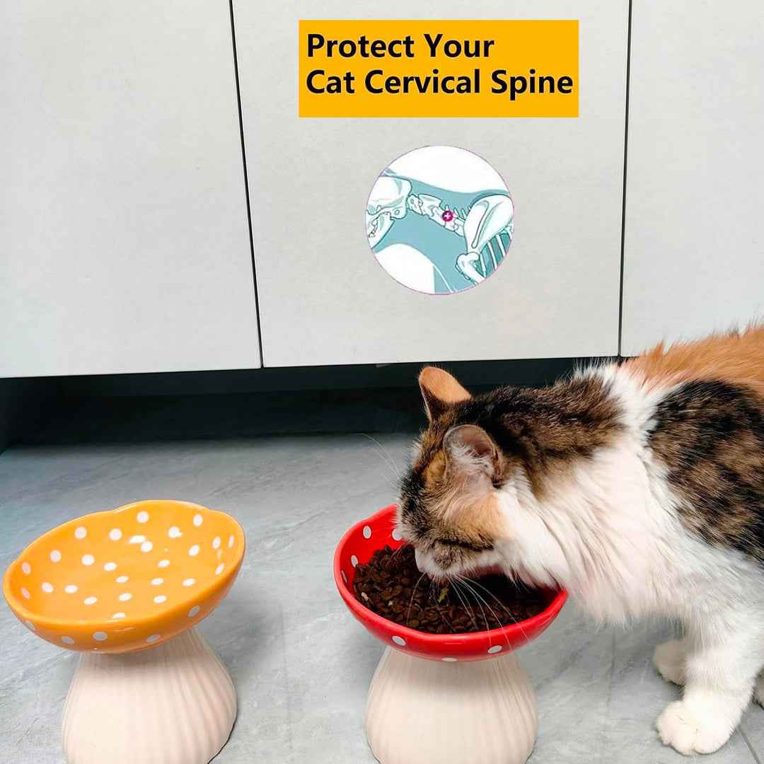 Erhöhter Katzenfutternapf, Niedlicher Pilz Katze Wassernapf, Keramik Katzennäpfe für Futter und Wass