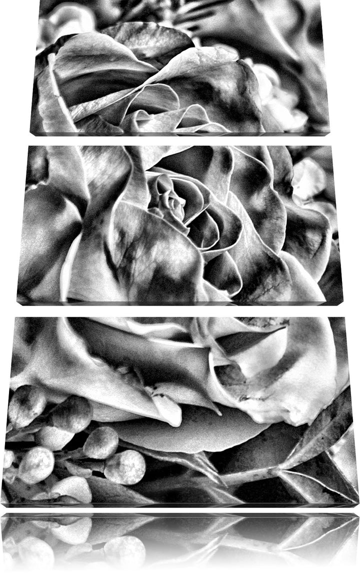 Pixxprint Rosa Rose als Leinwandbild/Grösse: 3 Teilig (120x80) cm/Wandbild/Kunstdruck/fertig bespann
