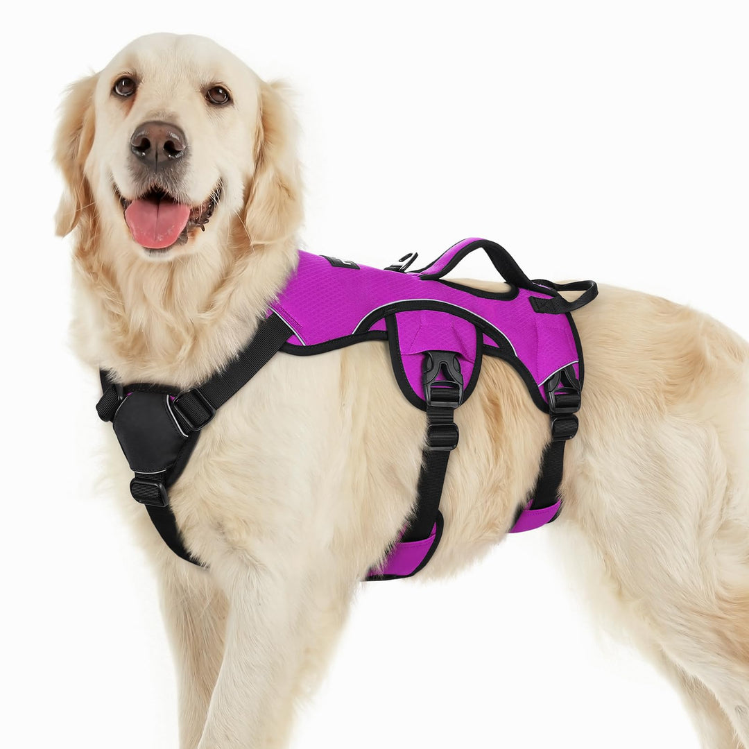 rabbitgoo Ausbruchsichere Hundegeschirr Grosse Hunde mit Griff, Anti Zug Sicherheitsgeschirr Hund At