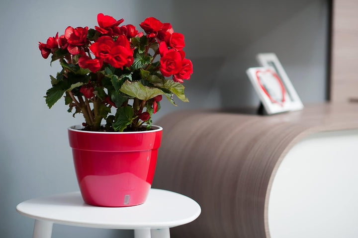 Santino ASTI 27CM Selbstwässernder Blumentopf mit Wasserstandsanzeiger - Rund Premium Qualität Innen