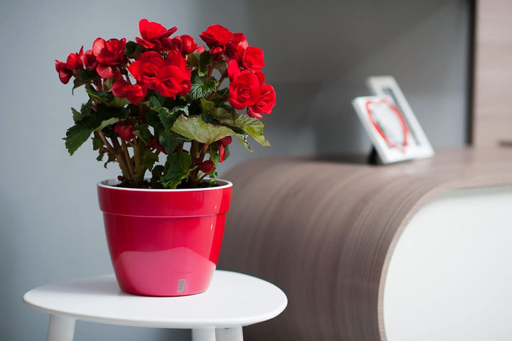 Santino ASTI 3er Set 20CM Selbstwässernder Blumentopf mit Wasserstandsanzeiger - Rund Premium Qualit