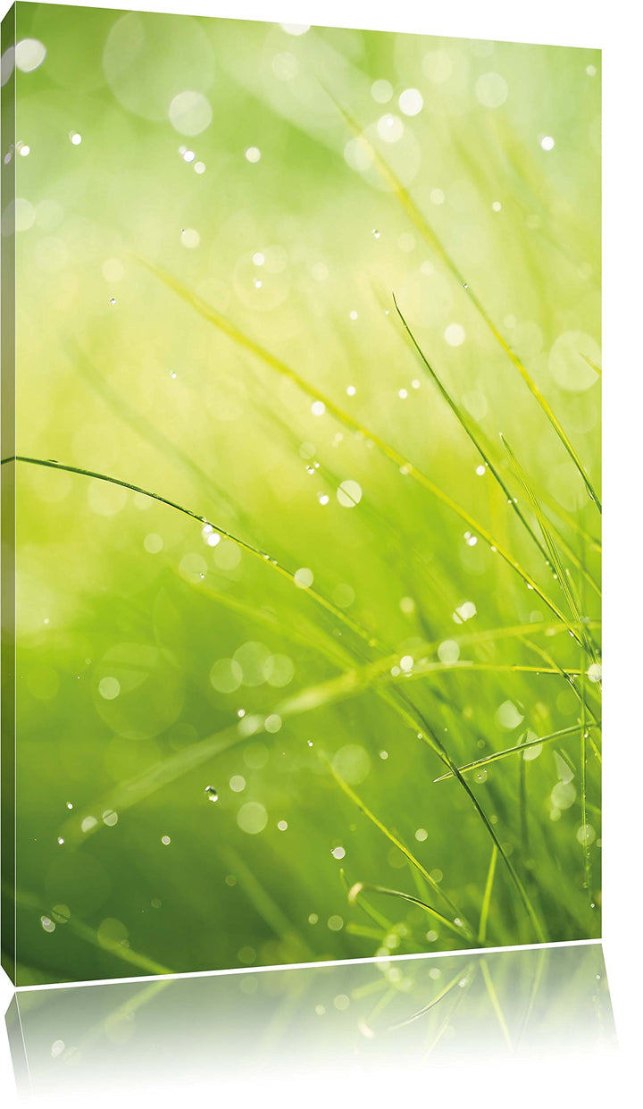 Pixxprint Nasses Gras, Format: 100x70 auf Leinwand, XXL riesige Bilder fertig gerahmt mit Keilrahmen